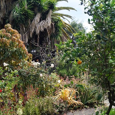La Casita Del Jardinero Villa ลอสยานอส เด อารีดาเน ภายนอก รูปภาพ