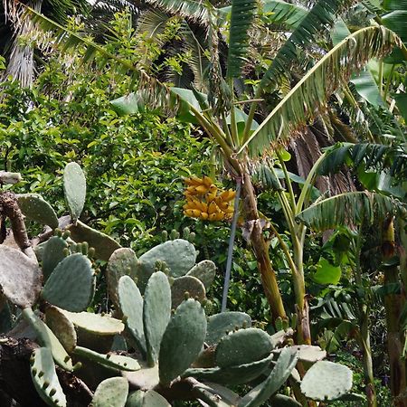 La Casita Del Jardinero Villa ลอสยานอส เด อารีดาเน ภายนอก รูปภาพ
