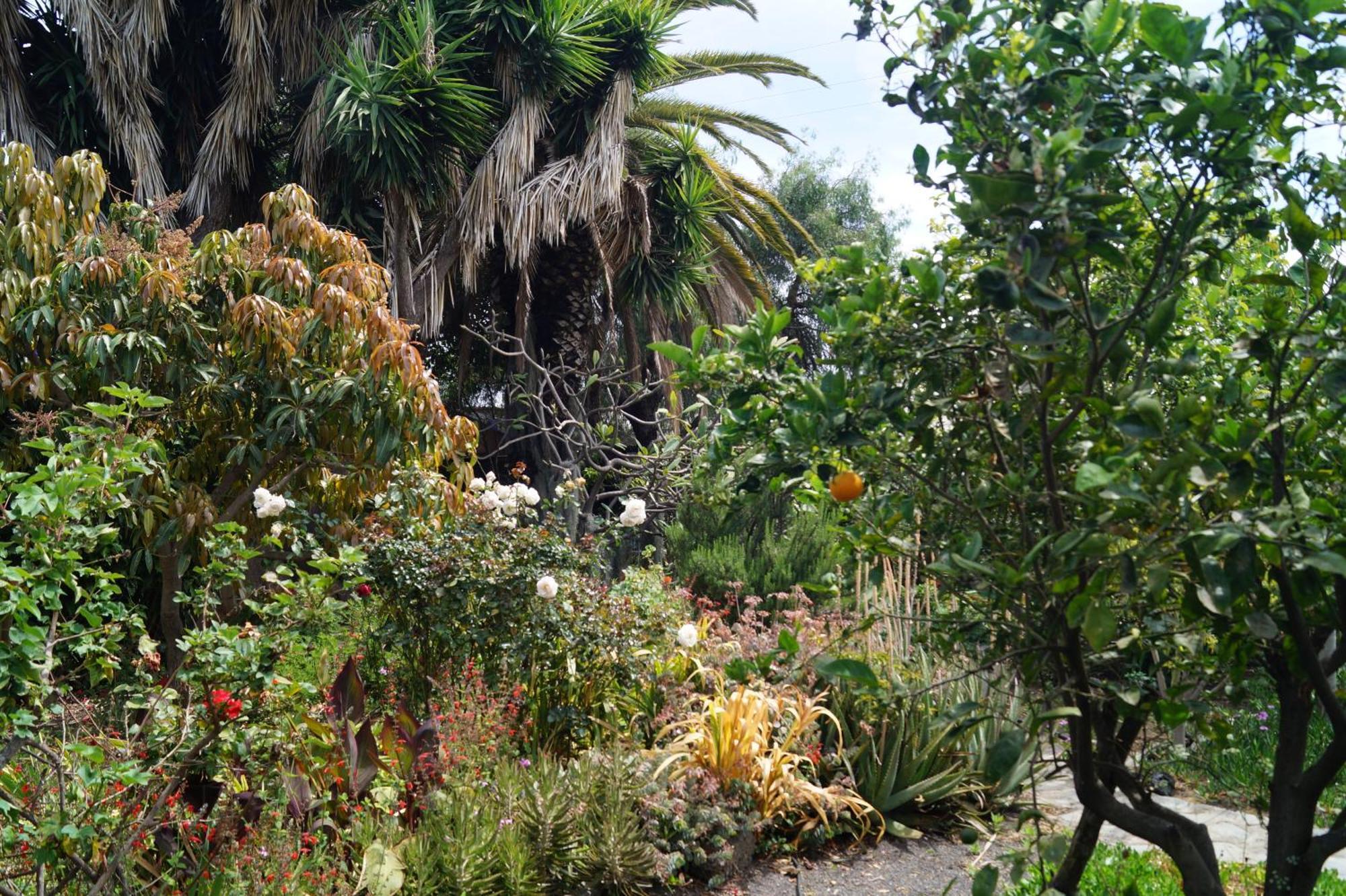 La Casita Del Jardinero Villa ลอสยานอส เด อารีดาเน ภายนอก รูปภาพ