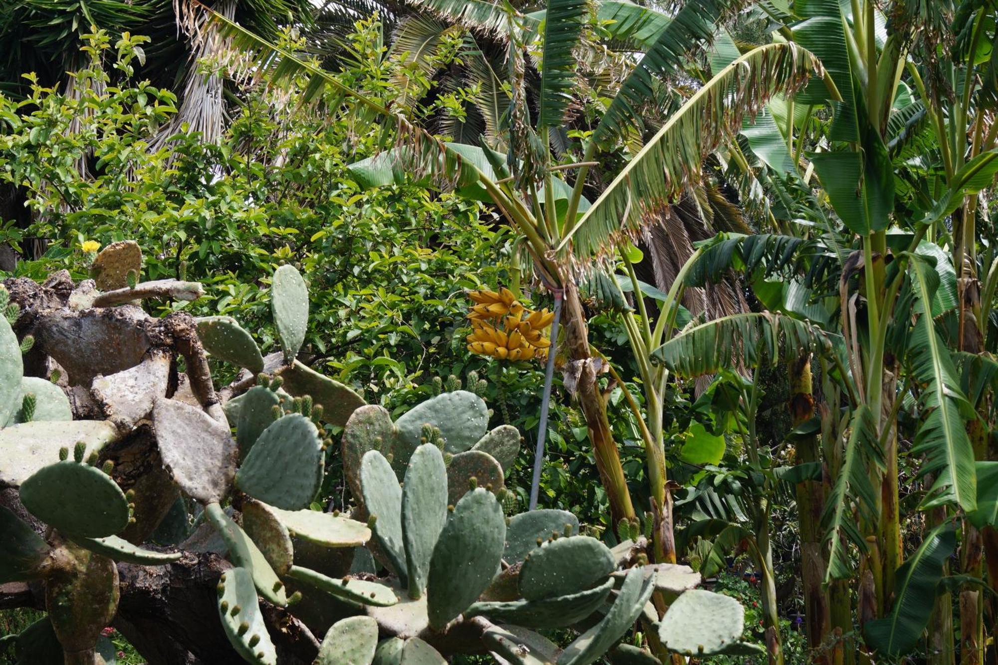 La Casita Del Jardinero Villa ลอสยานอส เด อารีดาเน ภายนอก รูปภาพ