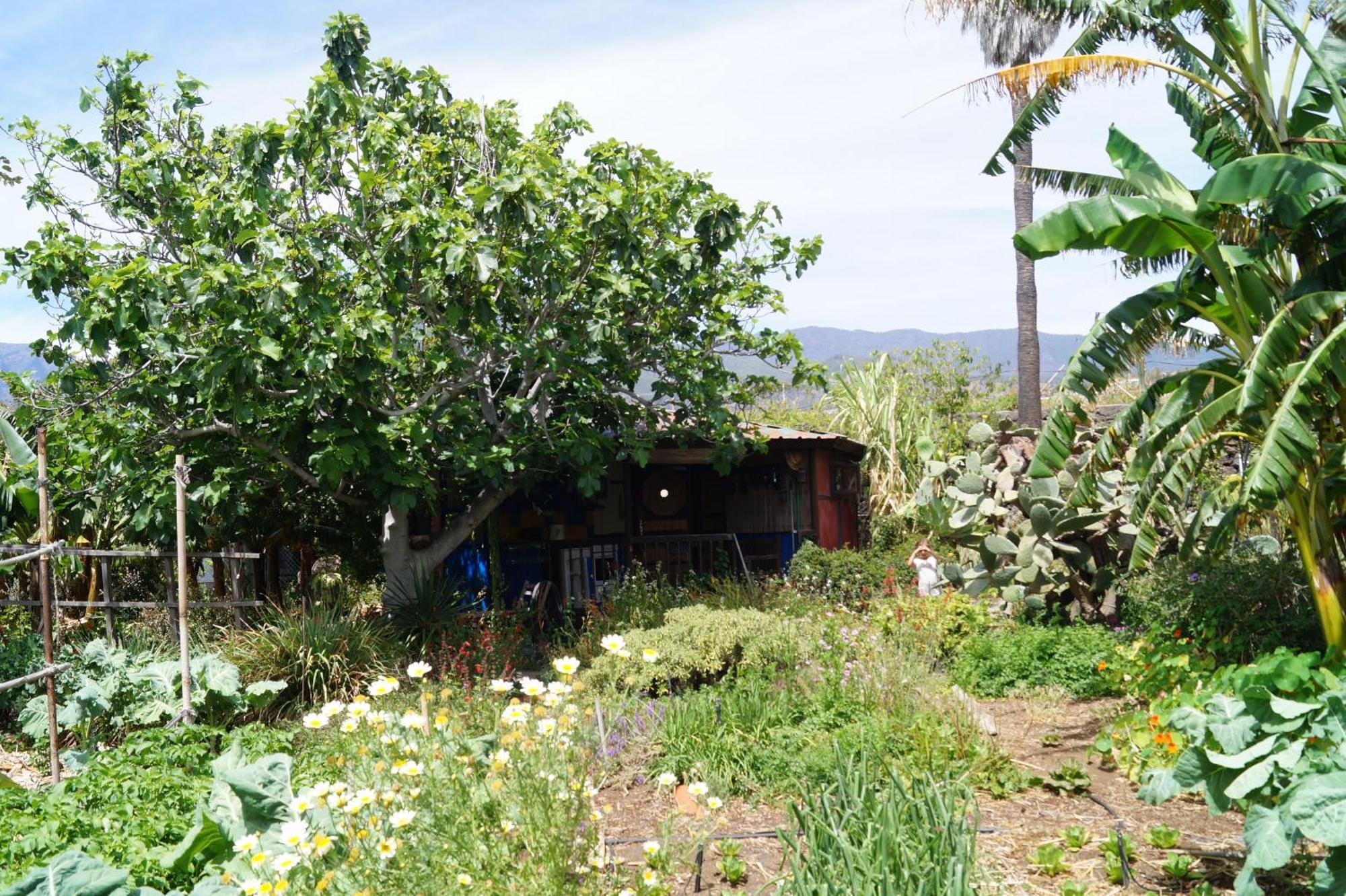 La Casita Del Jardinero Villa ลอสยานอส เด อารีดาเน ภายนอก รูปภาพ